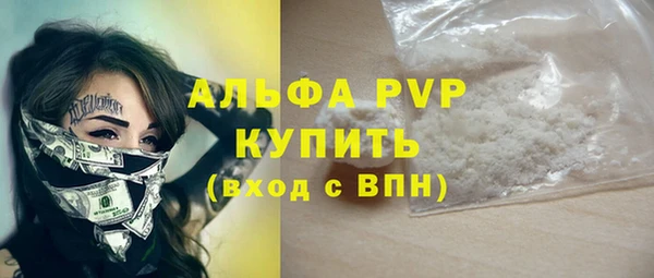 прущие грибы Няндома