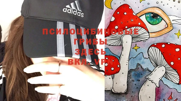 ALPHA PVP Нягань