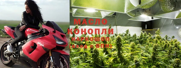 прущие грибы Няндома