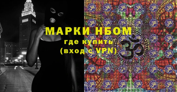 PSILOCYBIN Вяземский