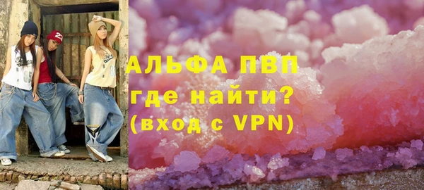 прущие грибы Няндома