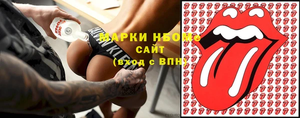 прущие грибы Няндома