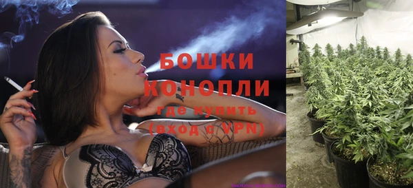 прущие грибы Няндома