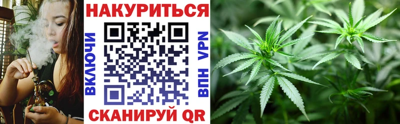 Канабис гибрид  Полтавская 